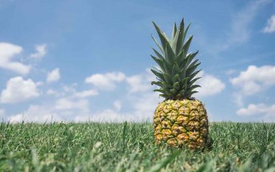 Ananas: Kralj tropskog voća, odličan za krvožilni i probavni sustav